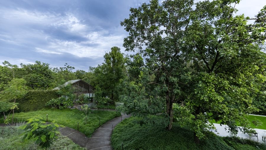 Saraca Corbett - Exterior View & Grounds - Gola Holidays